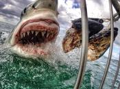 Voici quelques clichés hallucinants prises avec GoPro