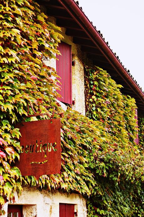 les sources de caudalie spa martillac