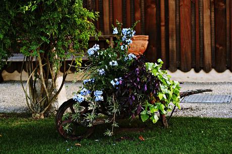 les sources de caudalie spa martillac