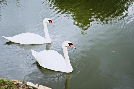 les sources de caudalie spa martillac