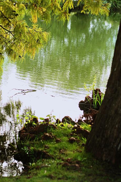 les sources de caudalie spa martillac