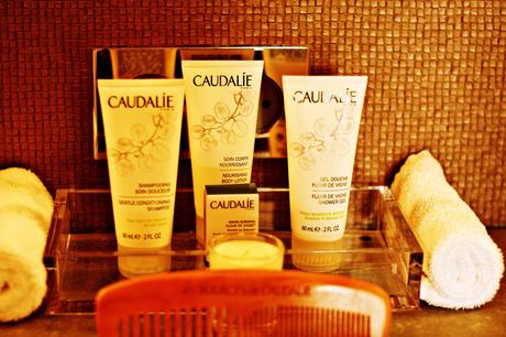 les sources de caudalie spa martillac