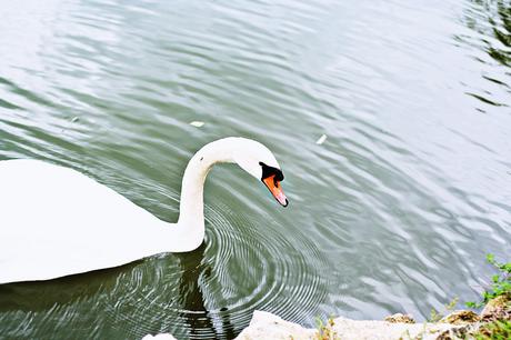 les sources de caudalie spa