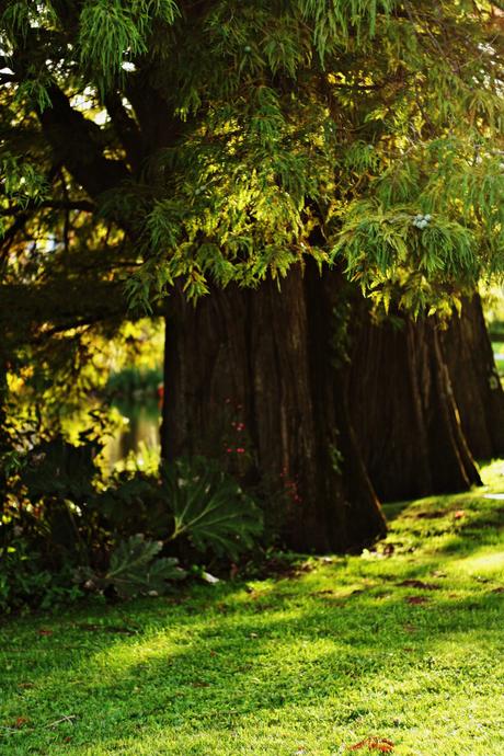 les sources de caudalie spa martillac