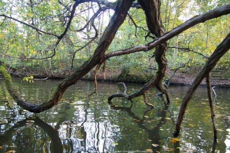 barque-vincennes-lac-des-minimes-17_gagaone