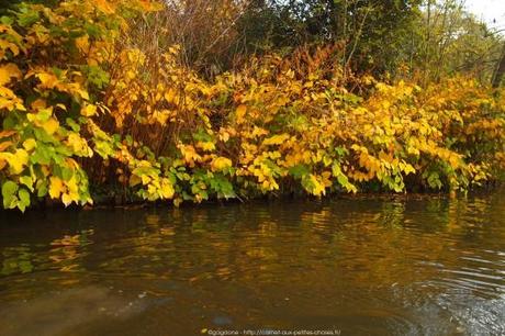 barque-vincennes-lac-des-minimes-30_gagaone