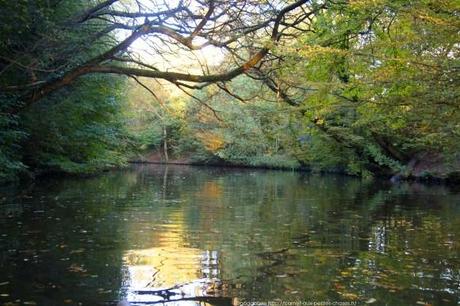 barque-vincennes-lac-des-minimes-18_gagaone