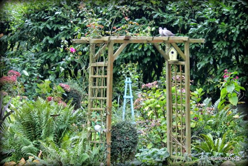 Jardin d'Octobre...