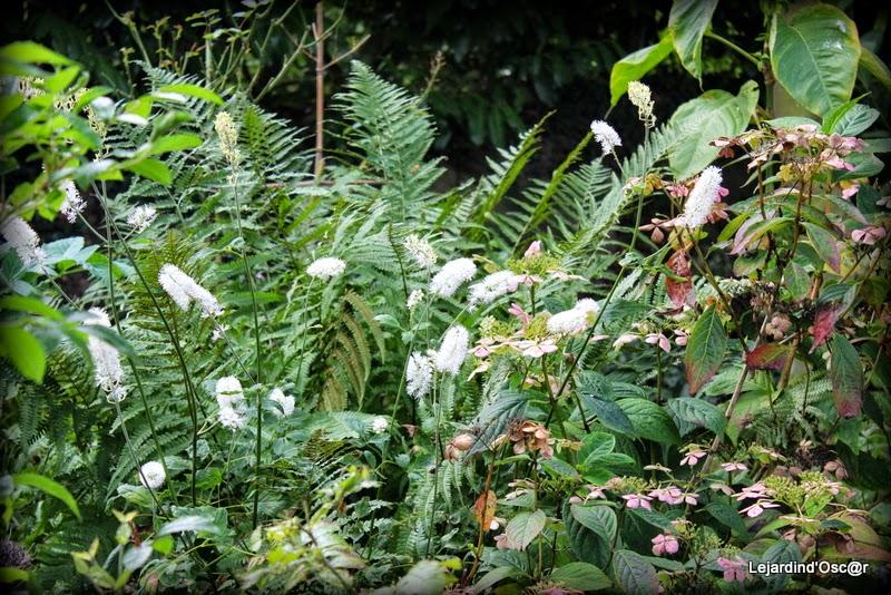 Jardin d'Octobre...