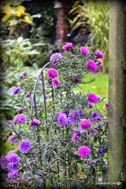 Jardin d'Octobre...