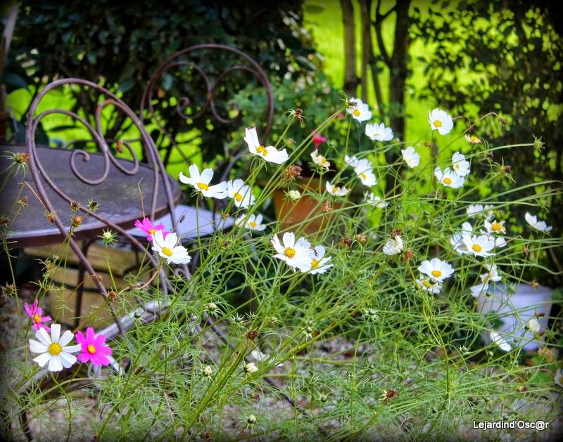 Jardin d'Octobre...
