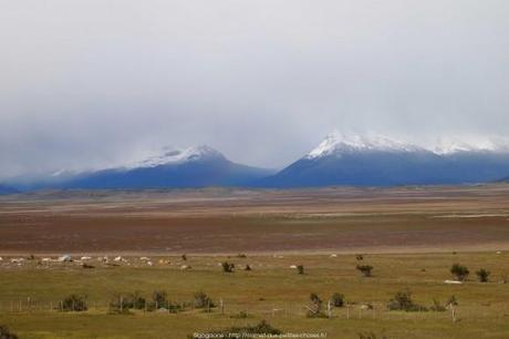 tour-alternatif-parc-glaciers-perito-moreno-patagonie-21_gagaone
