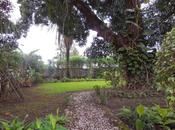 notre jardin africain