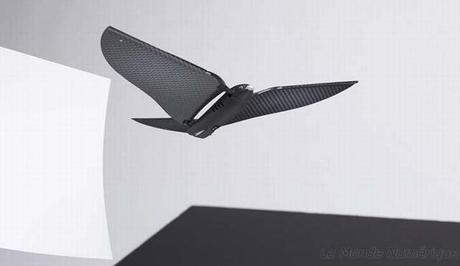 Bionic Bird : l’oiseau électronique est prêt à prendre son envol