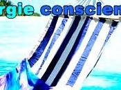 Fonctionnement Synergie Consciente