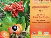 Guayapi lance chocolat noir équitable Warana
