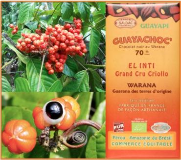 Guayapi lance son chocolat noir bio équitable au Warana