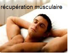 La récupération musculaire