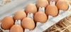 Consommation d'oeufs : l'élevage en batterie n'a plus la cote !