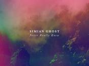 Simian Ghost Never Really Knew