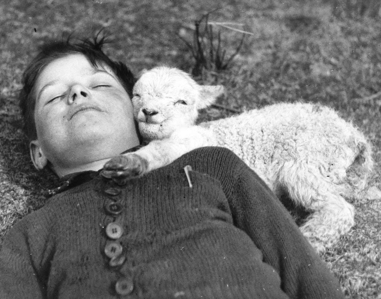 Citation du jour, bonjour !