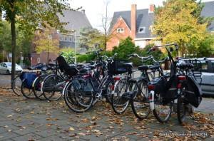 Mon compte rendu d’Amsterdam 2014! DSC_0017
