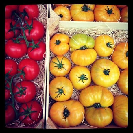 Tomates bretonnes (21 octobre) 