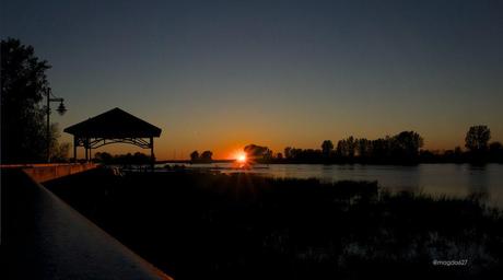 anteketborka.blogspot.com,  birds 6