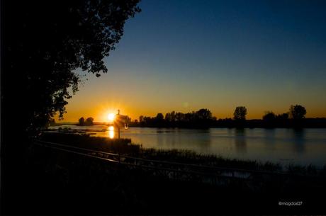 anteketborka.blogspot.com,  birds 3