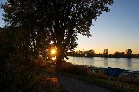 anteketborka.blogspot.com,  birds 2