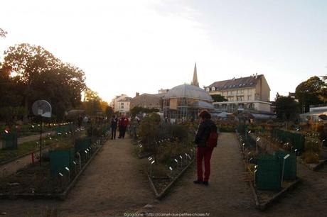Week-end à Nantes : les couleurs de l’automne, de l’Erdre au jardin des Plantes (44) nantes-jardin-des-plantes-6_gagaone