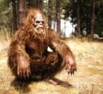 bigfoot_skullc