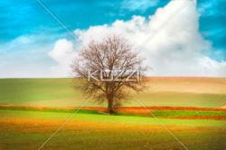 Trouvez votre bonheur intérieur et commencez à vivre la vie que vous méritez