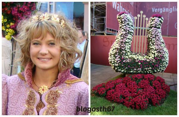 Chrysanthema_Lahr_2014_Reine