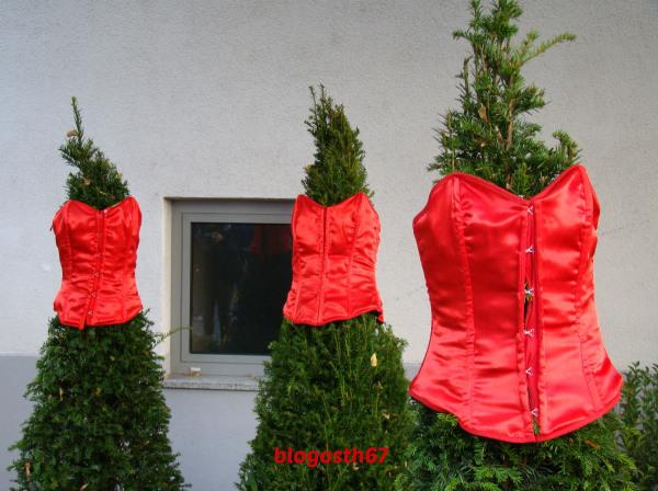 Chrysanthema_Lahr_2014_Corsets_rouges
