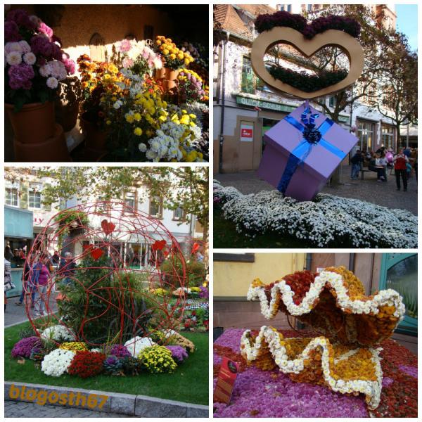 Chrysanthema_Lahr_2014_Deco