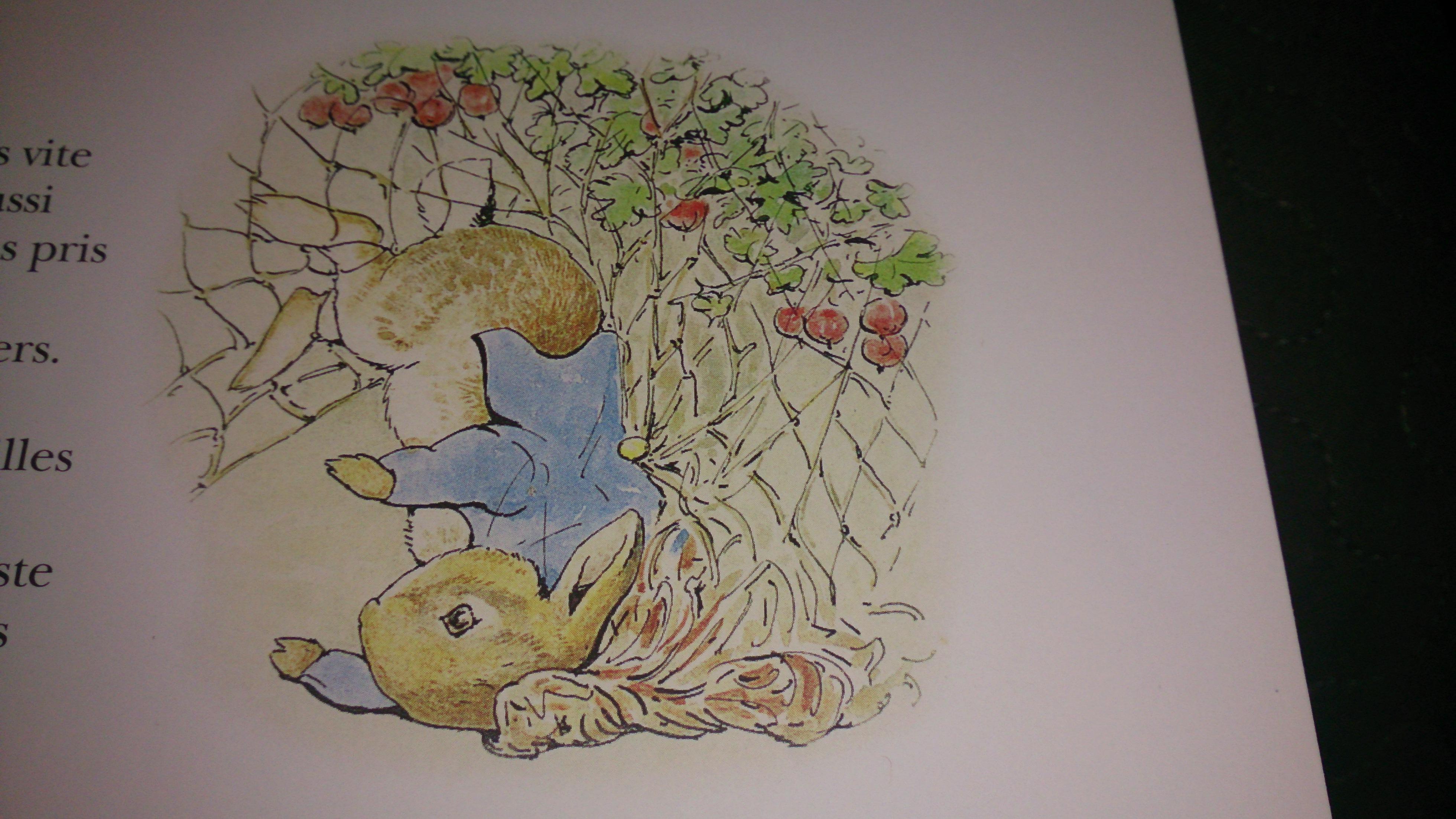 Le Grand livre de Beatrix Potter : Pierre Lapin Pierre Lapin malice jeunesse illustrations espièglerie Beatrix Potter aventure 