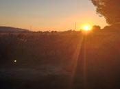 Bonheur soir abominations politiques