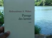Abdourahman Waberi Passage larmes