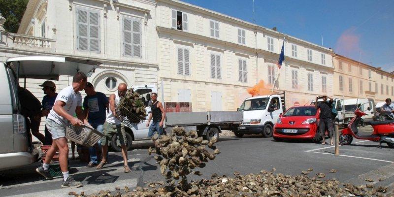 Charente-Maritime : le Conseil général vote un soutien financier aux mytiliculteurs
