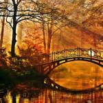 COLORS : The Beauty of Fall !