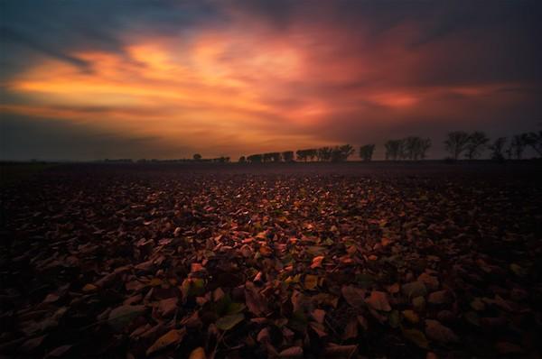 tumblr_ne5rw77P0m1swmapvo1_1280