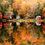 COLORS : The Beauty of Fall !