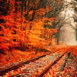 COLORS : The Beauty of Fall !