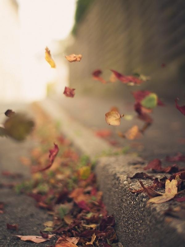 tumblr_ne7zocavzf1t2ykfmo1_500