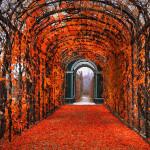 COLORS : The Beauty of Fall !