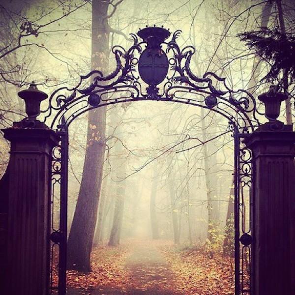 tumblr_ne80yfDK5v1rits66o1_500