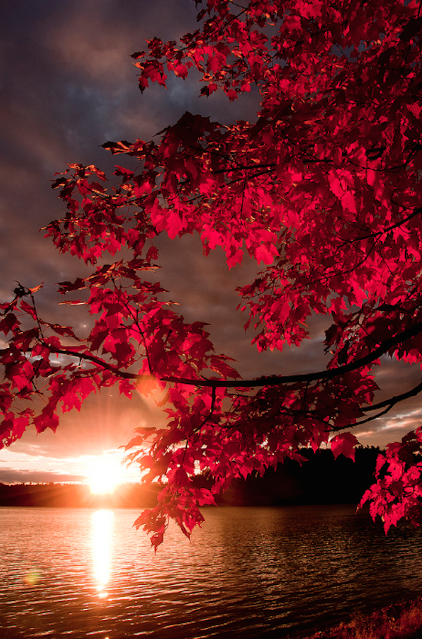 tumblr_ne3xljkuiI1r5ong8o1_500