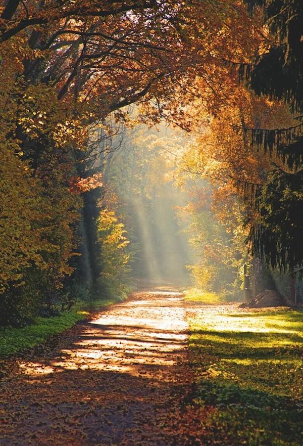 tumblr_ndz4chGWEU1rlt5o0o1_500