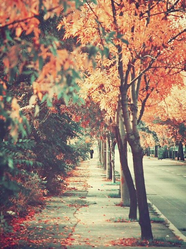 tumblr_ne63og8lye1svg08to1_500